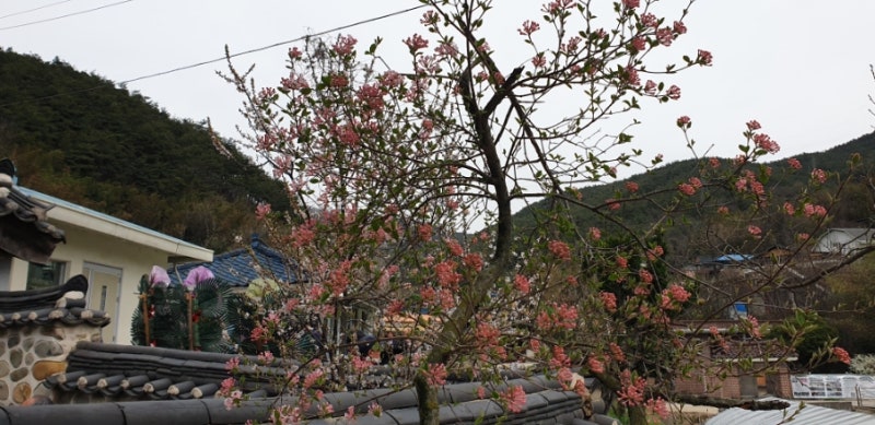 기념관 개관 사진4